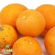 پرتقال آبگیری کشت کالا