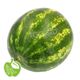 هندوانه بزرگ برند سیب سبز وزن حدود  8 تا 12 کیلوگرم