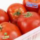 گوجه فرنگی دستچین کشت کالا 2 کیلوگرمی