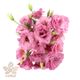 گل لیسین توس صورتی به همراه گلدان گلی گل 5 شاخه
