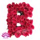 باکس گل رز سرخ هلندی طرح B گل آرای