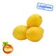 لیمو ترش سنگی دستچین هایپر میوه نارمک