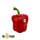 فلفل دلمه قرمز Mr.Fruit