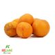 پرتقال آبگیری کشت کالا کیسه ای 3 کیلوگرمی