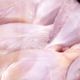 ساق تازه مرغ بدون پوست بسته بندی بی تا 800 گرمی  