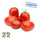 گوجه فرنگی دستچین برند 202