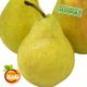 گلابی شاه میوه اقتصادی هایپر میوه نارمک