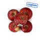 سیب قرمز دستچین ایران میوه 1 کیلوگرمی