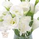 گل لیسین توس سفید به همراه گلدان گلی گل 5 شاخه 