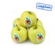 سیب زرد دستچین ایران میوه 1 کیلوگرمی