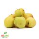 سیب زرد آبگیری کشت کالا کیسه ای 1 کیلوگرمی