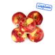 سیب دو رنگ دستچین ایران میوه 1 کیلوگرمی