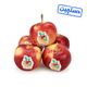 سیب دو رنگ دستچین ایران میوه 1 کیلوگرمی