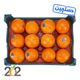 پرتقال خونی شمال دستچین سبدی برند 202 حدود 2.5 تا 3.5 کیلوگرم