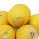 لیمو شیرین کشت کالا کیسه ای 5 کیلوگرمی