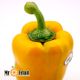 فلفل دلمه زرد Mr.Fruit
