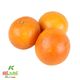 پرتقال خونی کشت کالا کیسه ای 1 کیلوگرمی