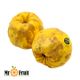 به Mr.Fruit