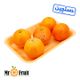 پرتقال جنوب دستچین Mr.Fruit وزن 1 کیلوگرمی