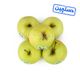 سیب زرد دستچین ایران میوه