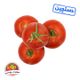 گوجه فرنگی دستچین سوپر میوه تک