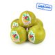 لیمو شیرین دستچین ایران میوه 1 کیلوگرمی