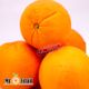 پرتقال تامسون شمال Mr.Fruit