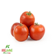 گوجه فرنگی کشت کالا کیسه ای 1 کیلوگرمی