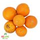 پرتقال آبگیری کشت کالا کیسه ای 5 کیلوگرمی