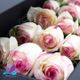 باکس گل رز هلندی سفید مستطیل جزیره گل