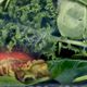 سالاد فرانسوی بامیکا 170 گرمی