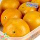 پرتقال دستچین کشت کالا 1 کیلوگرمی