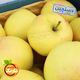 سیب زرد دستچین سبدی هایپر میوه نارمک حدود 5 تا 7 کیلوگرم